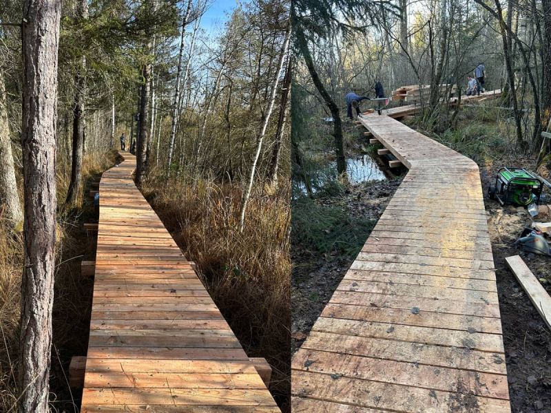 Sanierung Moorlehrpfad Ibm/Eggelsberg