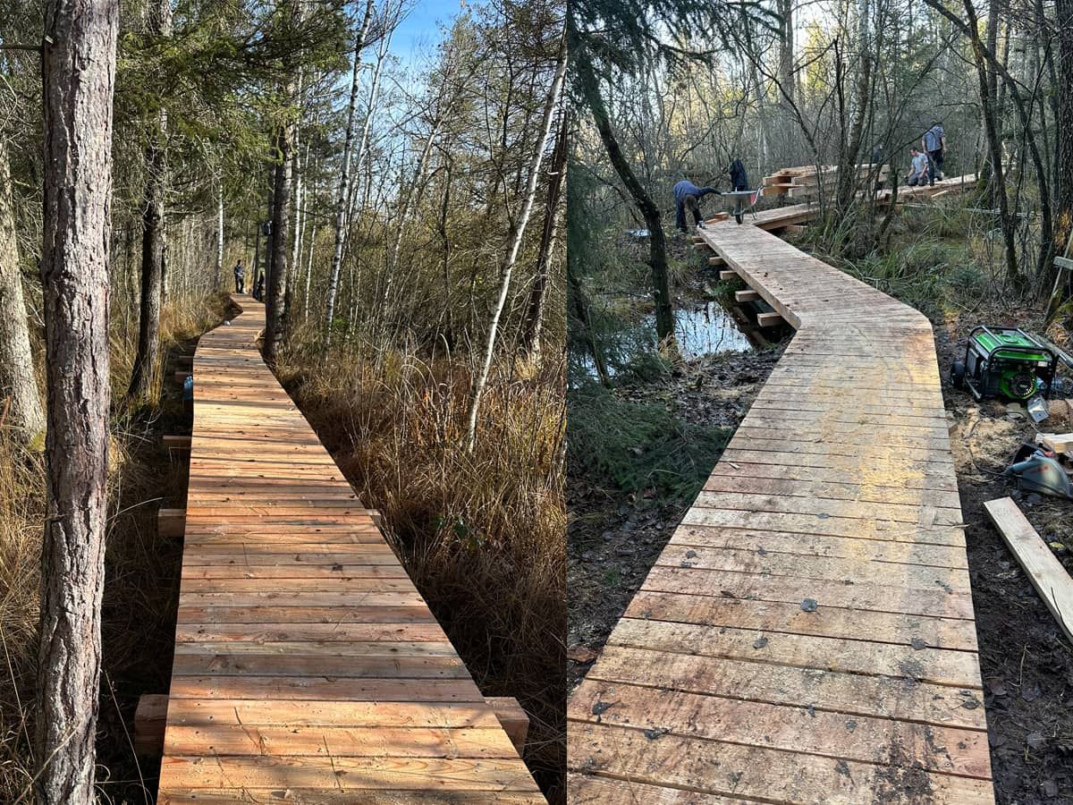 Sanierung Moorlehrpfad Ibm/Eggelsberg